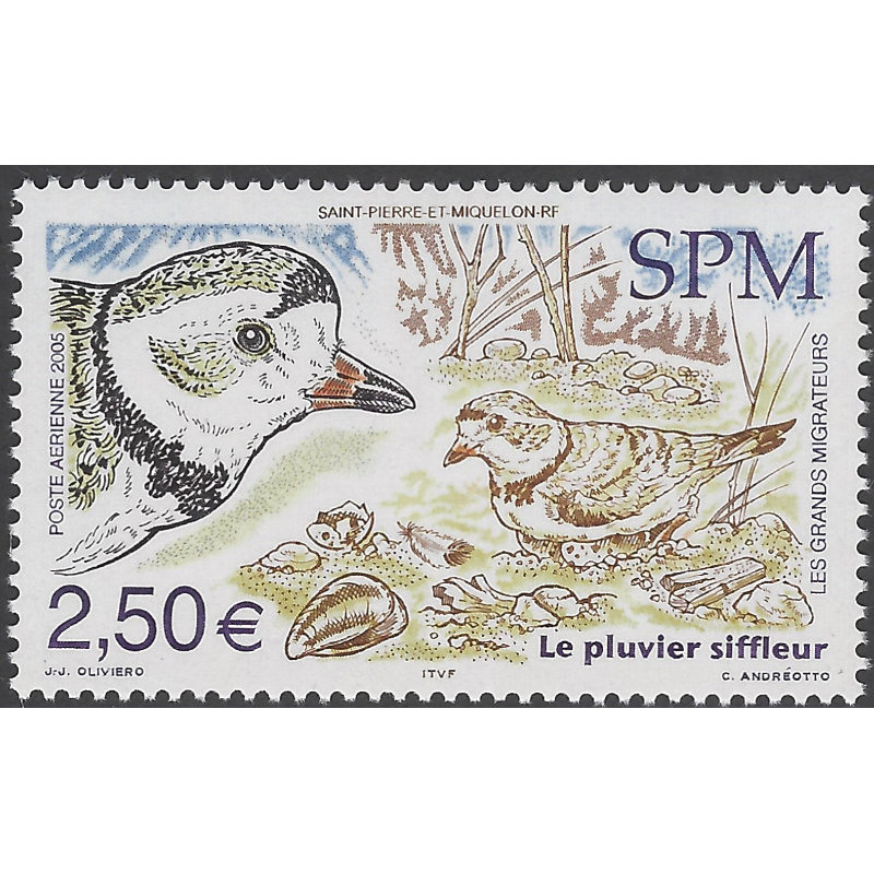 Le Pluvier Siffleur Timbre Poste A Rienne De Saint Pierre Et Miquelon N