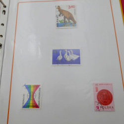 Vrac de timbres de France et monde en un carton.