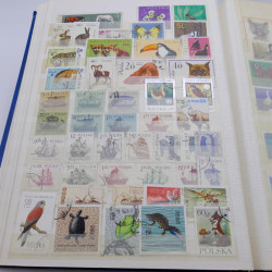 Vrac massif de timbres France et monde en 1 carton.