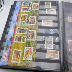 Vrac massif de timbres France et monde en 1 carton.