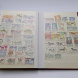 Vrac massif de timbres France et monde en 1 carton.