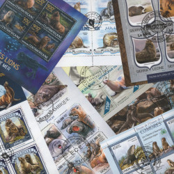 Phoques - Otaries 10 blocs-feuillets de timbres thématiques.