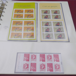 Collection timbres de France 2002-2004 neuf** complète en album Safe.