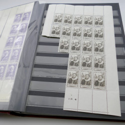 Stock de timbres de France neufs** en deux albums.