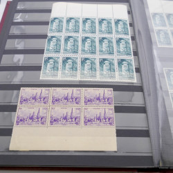 Stock de timbres de France neufs** en deux albums.