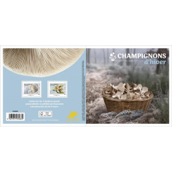 Collector 4 timbres Champignons d'hiver.