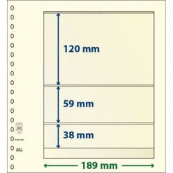 Feuille neutre Lindner-T à 3 bandes. (802 306)