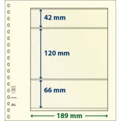 Feuille neutre Lindner-T à 3 bandes. (802 308)