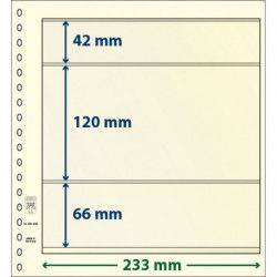 Feuille neutre Lindner-T à 3 bandes. (802 309)