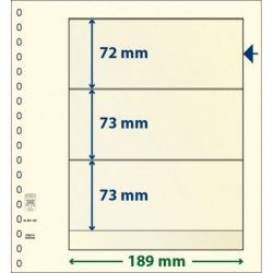 Feuille neutre Lindner-T à 3 bandes. (802 320)