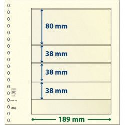 Feuille neutre Lindner-T à 4 bandes. (802 405)