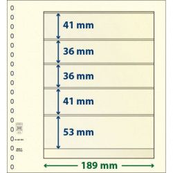 Feuille neutre Lindner-T à 5 bandes. (802 502)