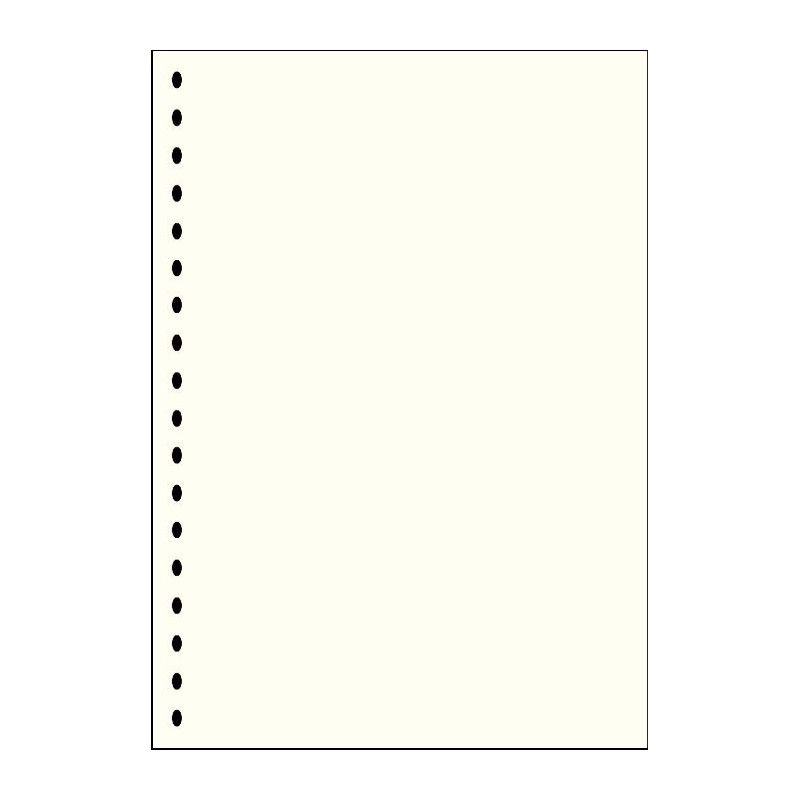 Feuilles neutres blanches sans impression format A4 à 18 perforations  Lindner. (804o) - Philantologie