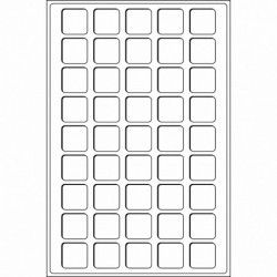 Plateaux numismatiques Leuchtturm format L à 45 cases carrées.